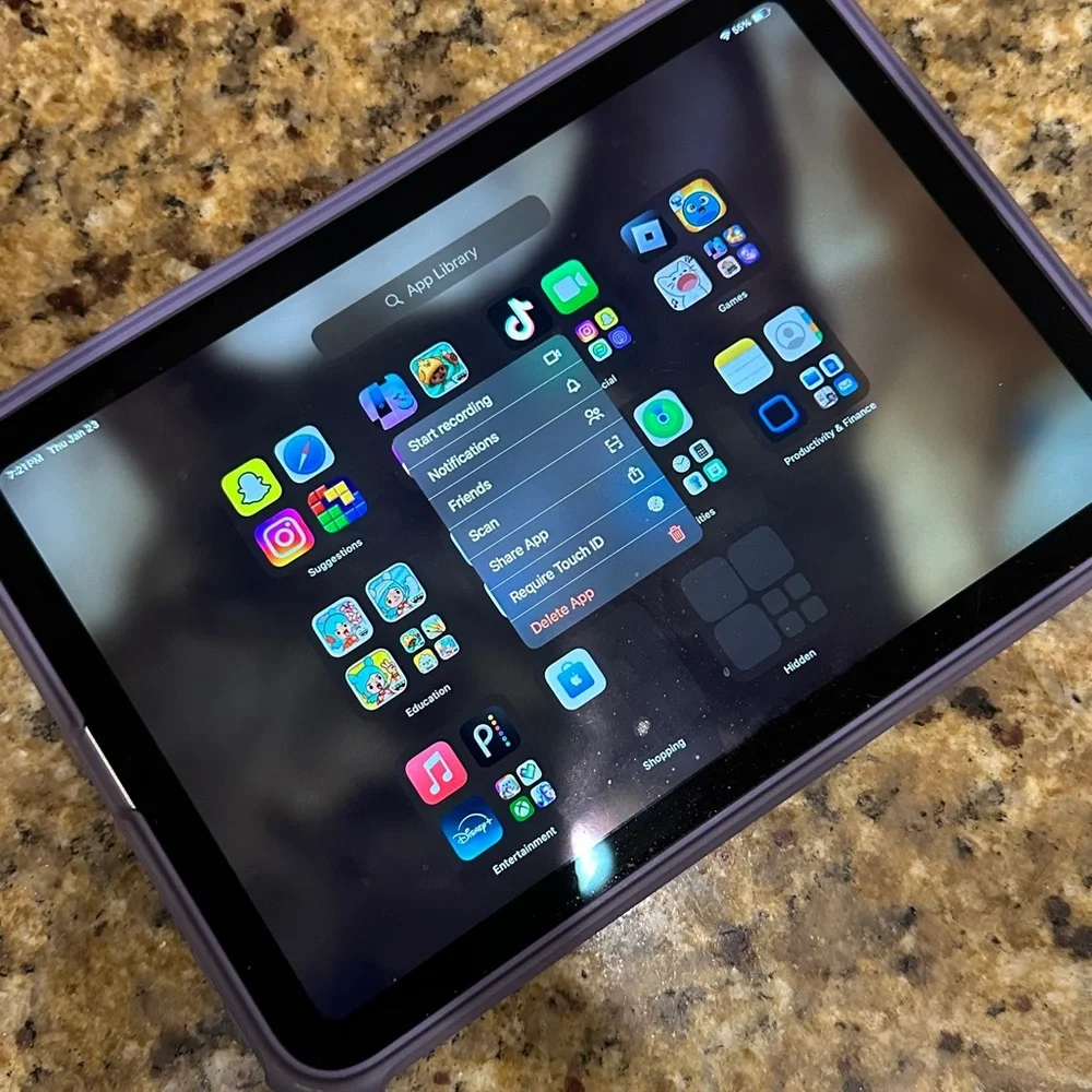 TikTok installed mini iPad 6th gen